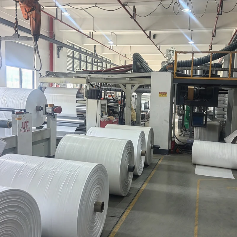 Rows of white PP woven fabric jumbo rolls standing in the weaving workshop